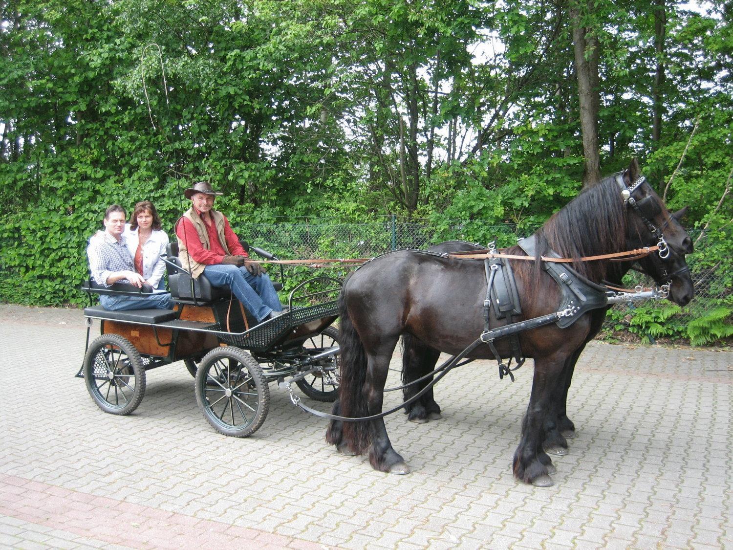 Hotel Graf Balduin Esterwegen Bagian luar foto